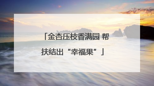 金杏压枝香满园 帮扶结出“幸福果”